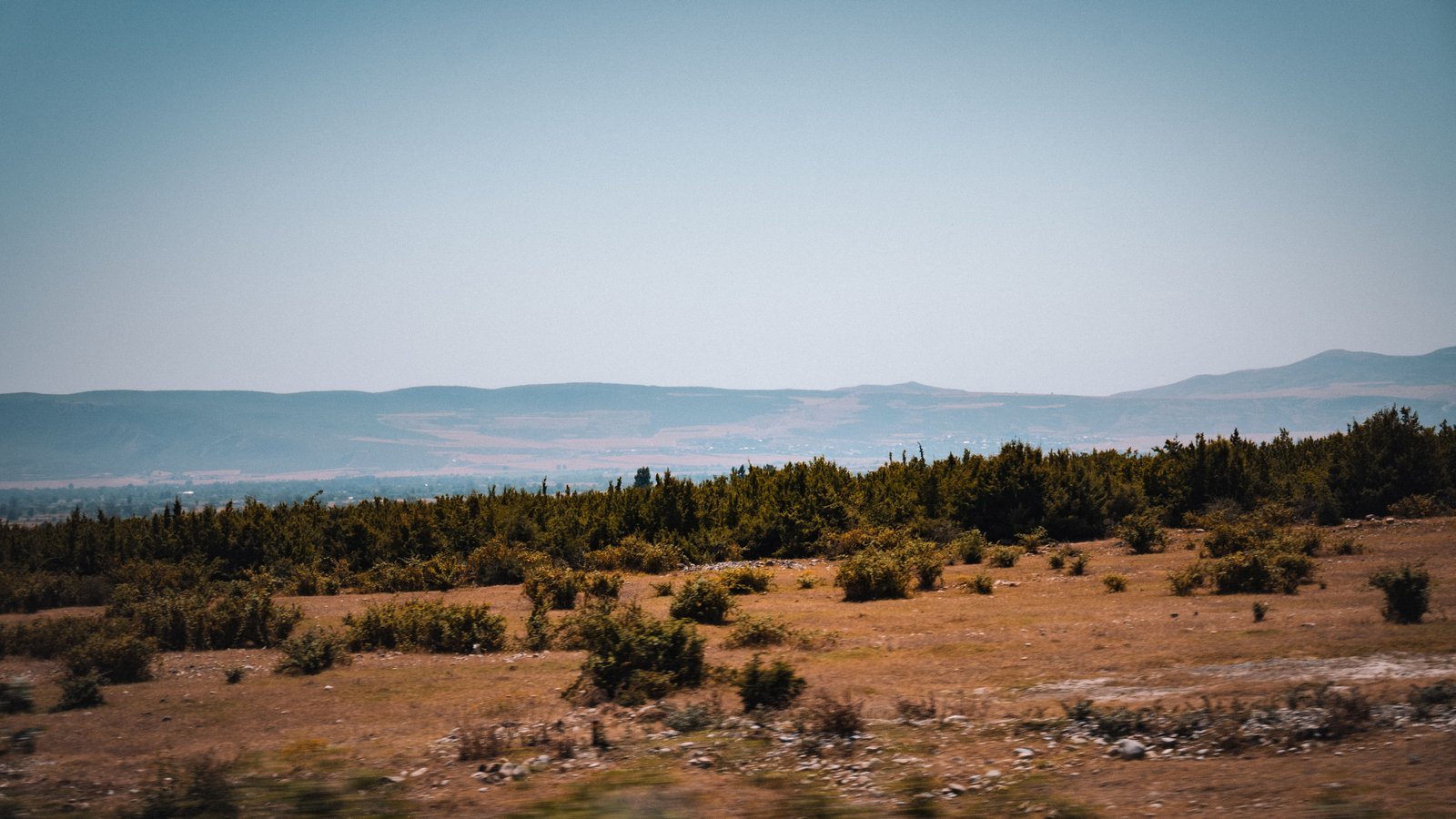 Offene Hügellandschaft ohne befestigten Weg, Horizont im Morgenlicht
