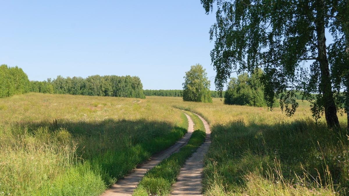 Feldweg durch die offene Landschaft